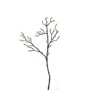 Orera White