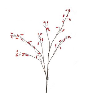 Lucrecia Red