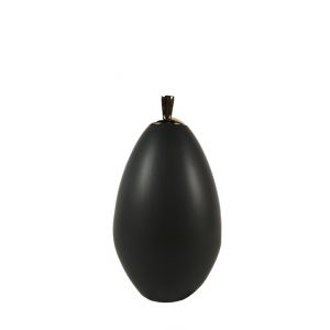 Aubergine