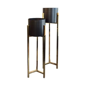 Cashel Tall