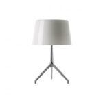 Narcine Table lamp