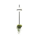 Arbusto Wall Lamp