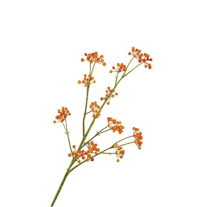 C3AF0056O.jpg Gorma Orange - Image 1