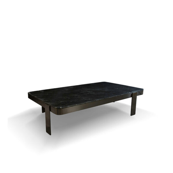 Negra Coffee Table Stainless Marbel