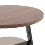 Testa Coffee Table Iron Wood - Image 3