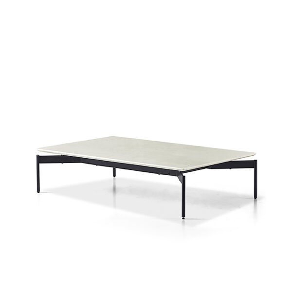 Woodward Rectangular Coffee Table - 1.2 Metal Marble