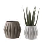 Orso White - Medium - Image 2