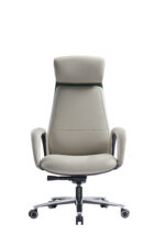 AUREX Director Chair - Green Beige - Image 2